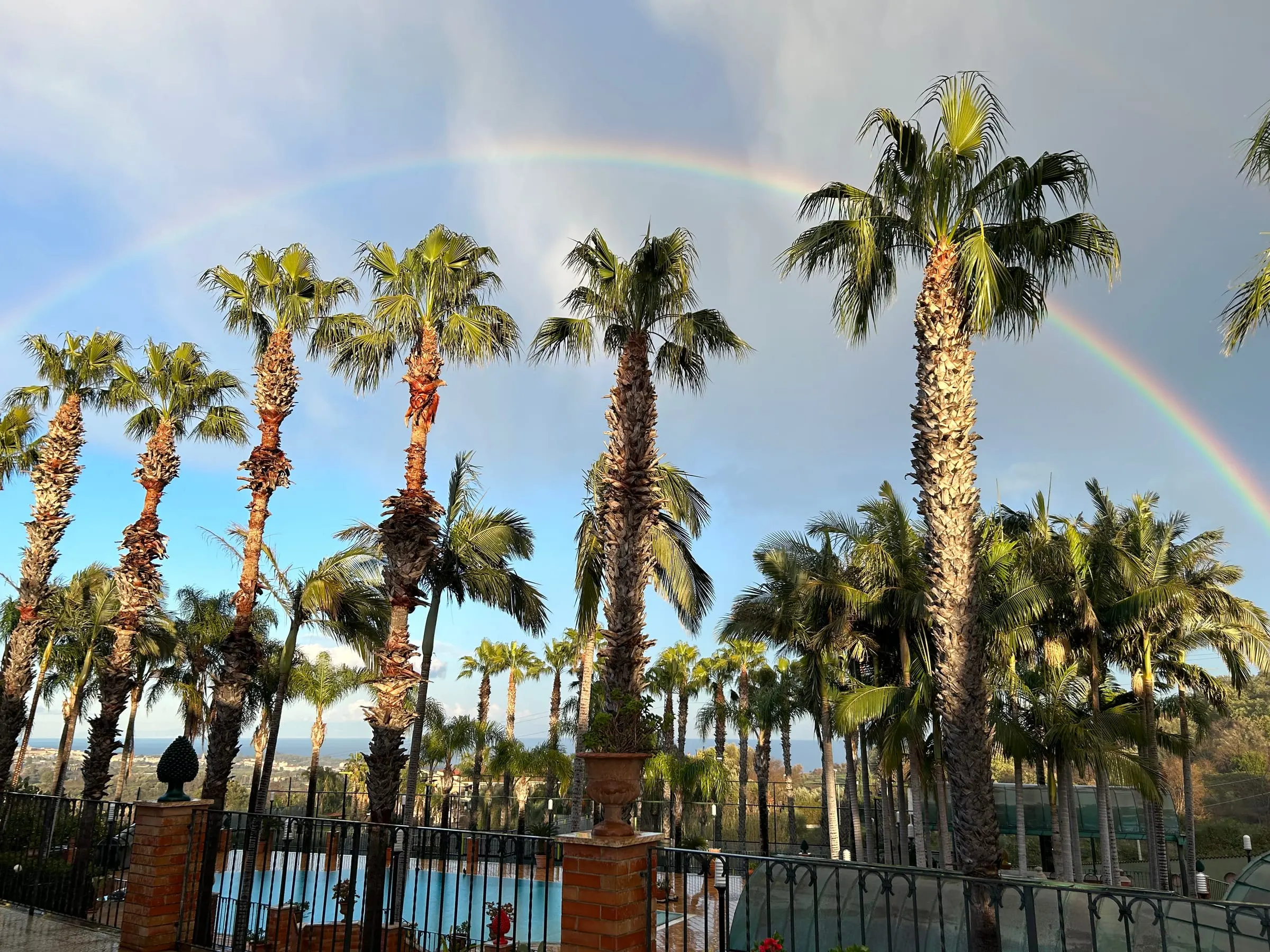Arcobaleno sulle palme del parco