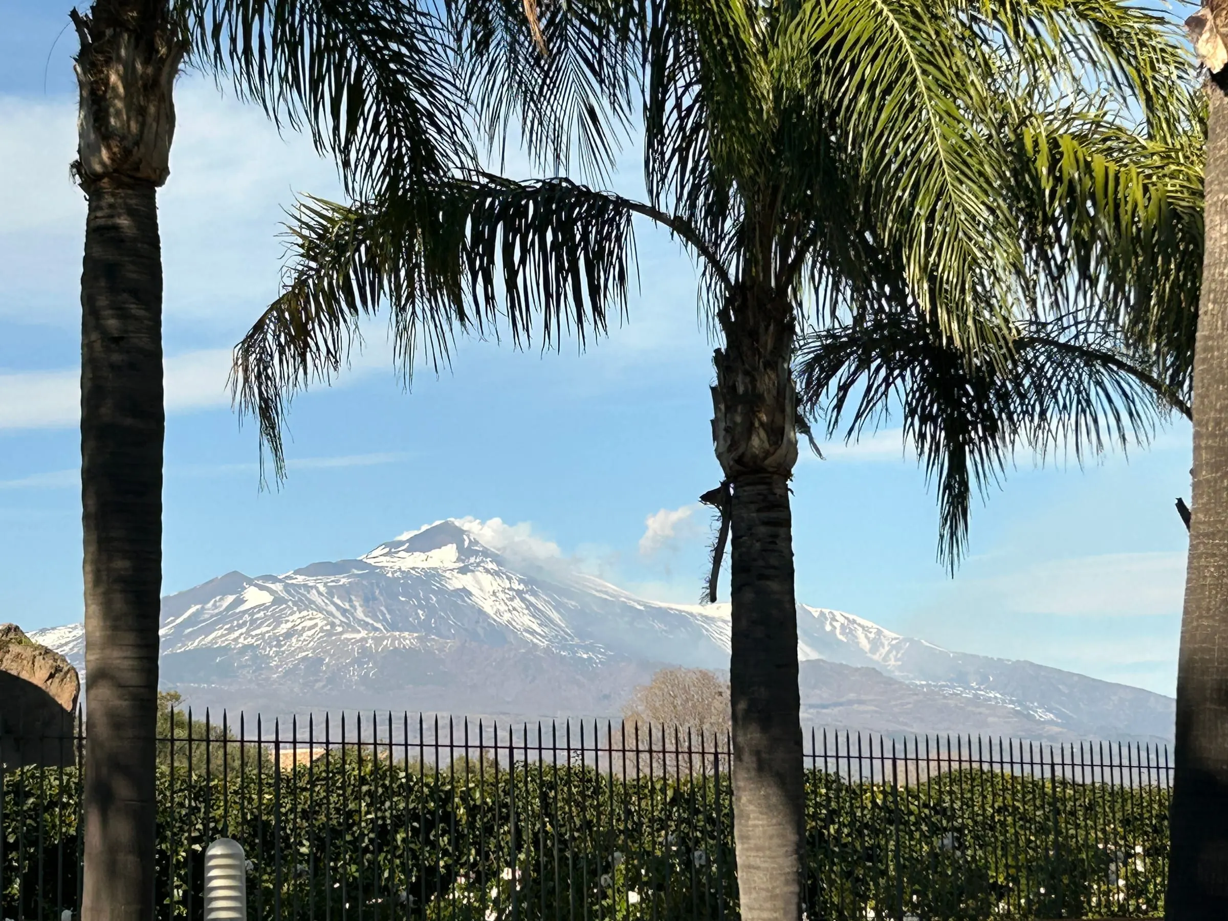 L'Etna innevato incorniciato dalle palme