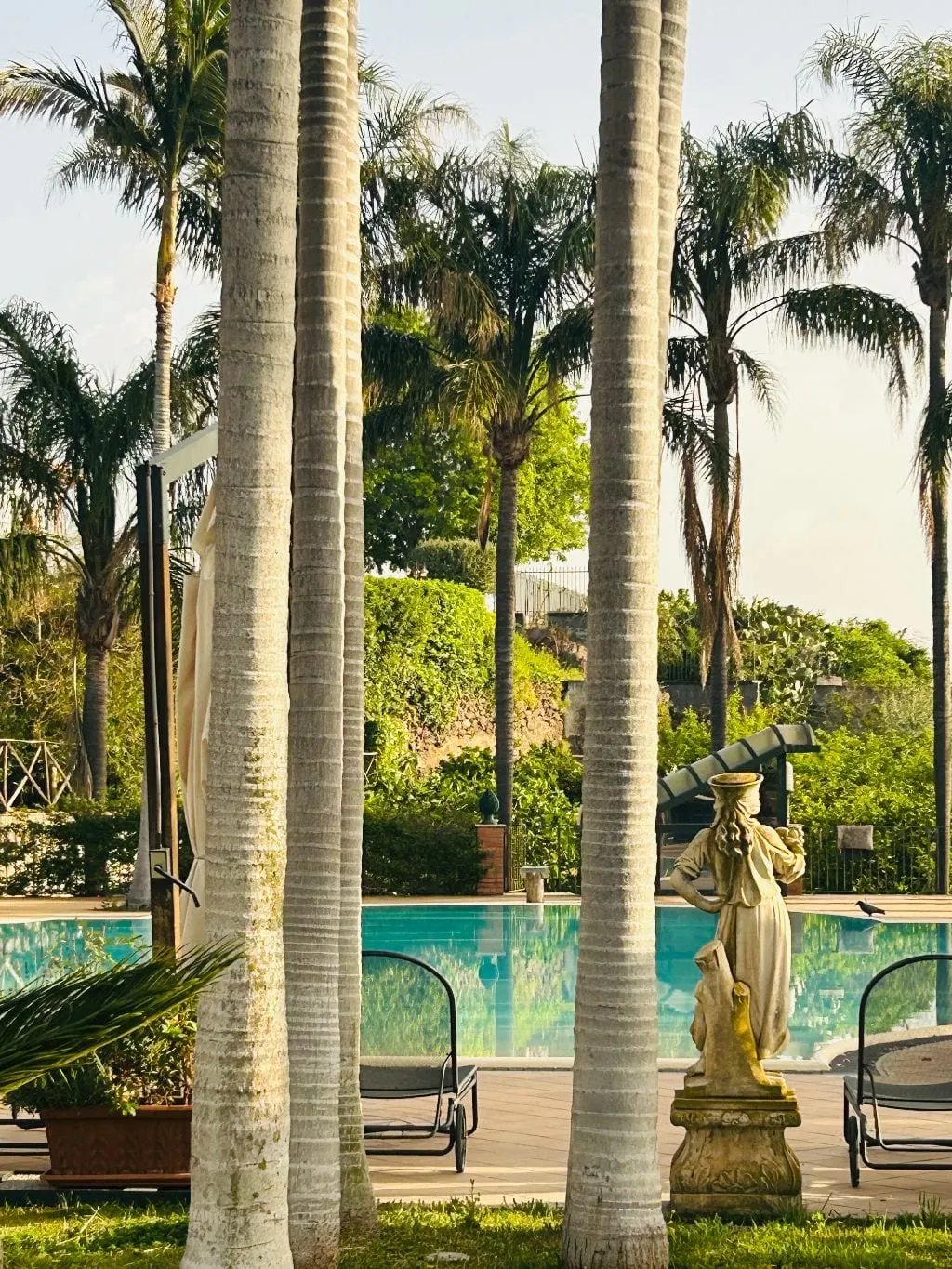 Statua e palme a bordo piscina