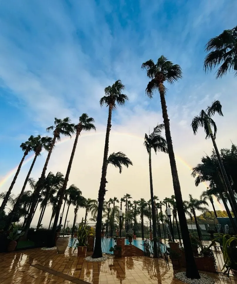 Le palme sopra la piscina contro il cielo