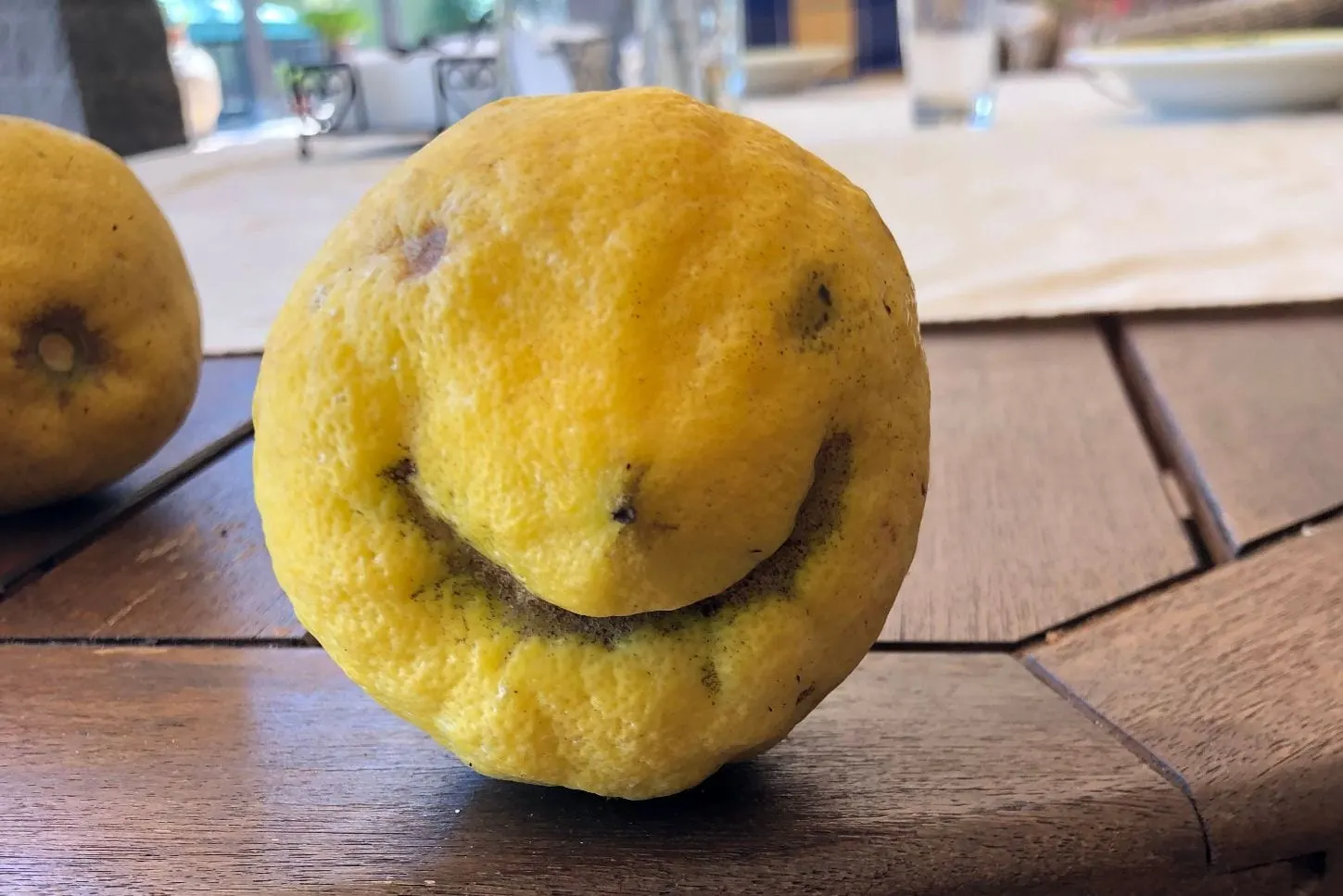 Limone sorridente del giardino