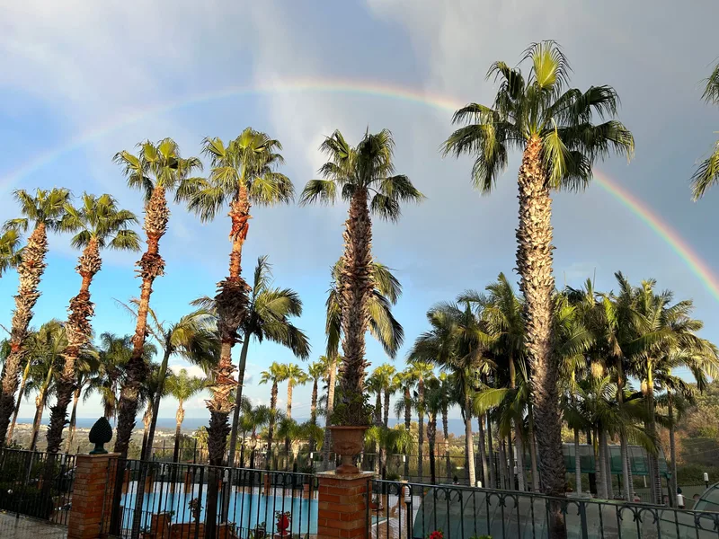 Regenbogen über den Palmen des Parks